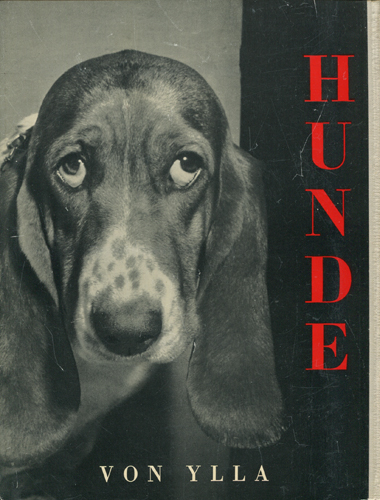 Ylla: Hunde