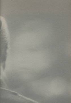 Ola Rindal: Blindness [signed]