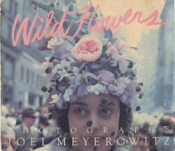 Joel Meyerowitz: Wild Flowers