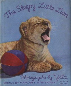 Ylla & Margaret Wise Brown: The Sleepy Little Lion