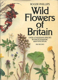 Wild Flowers of Britain