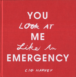 Cig Harvey: You Look at Me Like an Emergency