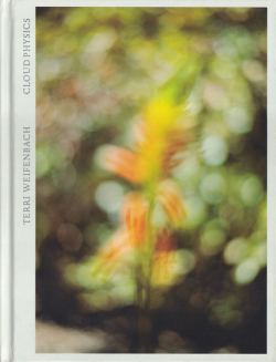 Terri Weifenbach: Cloud Physics [Signed]