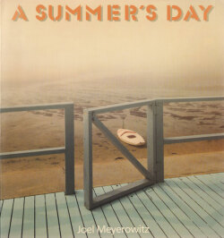 Joel Meyerowitz: A Summer's Day