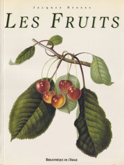 LES FRUITS