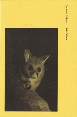 Felix Wilson: Nocturnal Ecologies