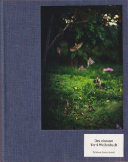 Terri Weifenbach - Des oiseaux