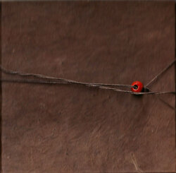 Gregory Colbert: Ashes and Snow the film DVD