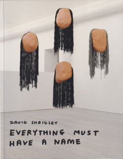 David Shrigley: Everything Must Have a Name