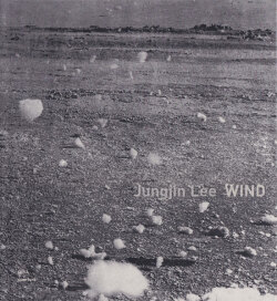 Jungjin Lee: Wind