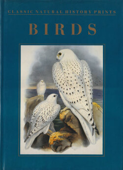 Birds: Classic Natural History Prints