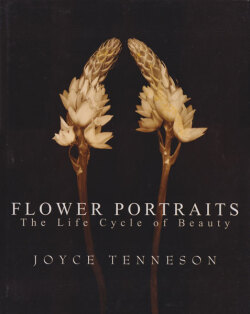 Joyce Tenneson: Flower Portraits: The Life Cycle of Beauty