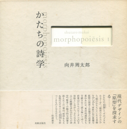 かたちの詩学　向井周太郎著作集