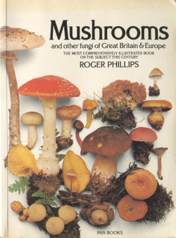 古書古本 dessin mushrooms and other fungi of great britain and
