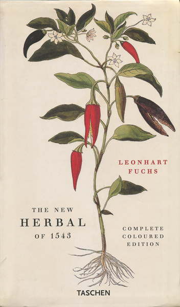 古書古本 dessin：Leonhart Fuchs: The New Herbal of 1543  