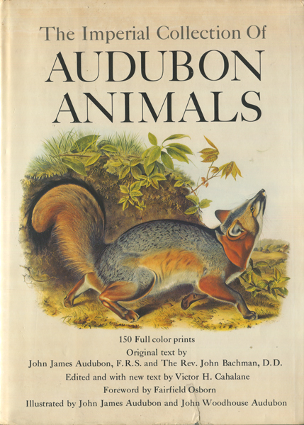 古書古本 Dessin The Imperial Collection Of Audubon Animals ジョン ジェームズ オーデュボン Bonanza Books John James Audubon