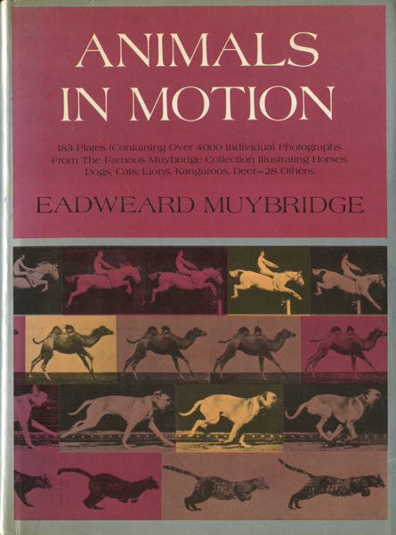 古書古本 Dessin Eadweard Muybridge Animals In Motion エドワード マイブリッジ Dover