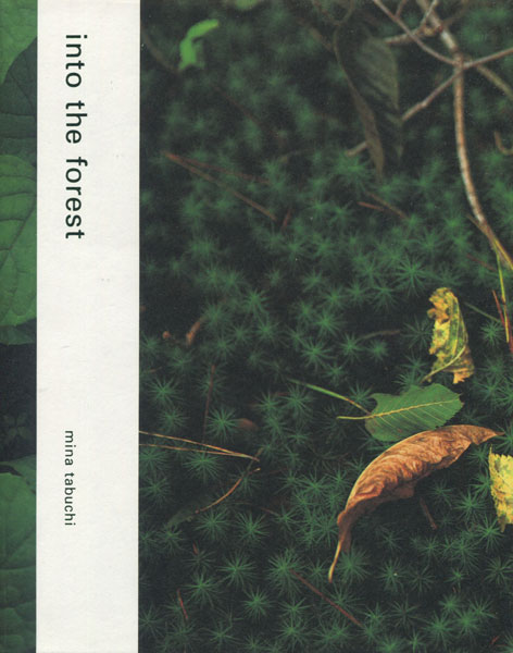 mina tabuchi / into the forest / 田淵三菜 写真 pic2.jpg