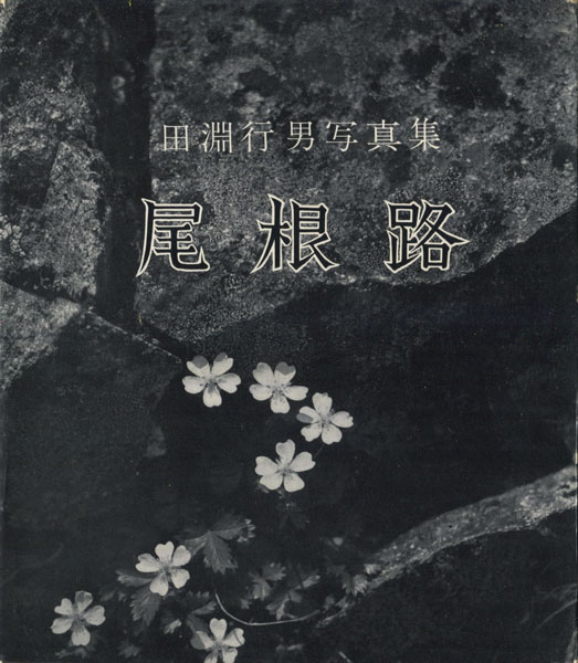 【ぎふちょう：写真絵本】田淵行男写真集　1972年初版発行 人気 ぎふちょう：写真絵本】田淵行男写真集 メルカリ - 1972年