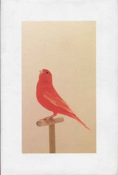 古書古本 dessin: Luke Stephenson: An Incomplete Dictionary of Show  