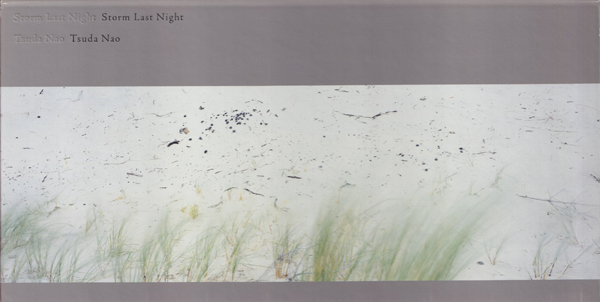 古書古本 dessin： Tsuda Nao: Storm Last Night（津田直,赤々舍）