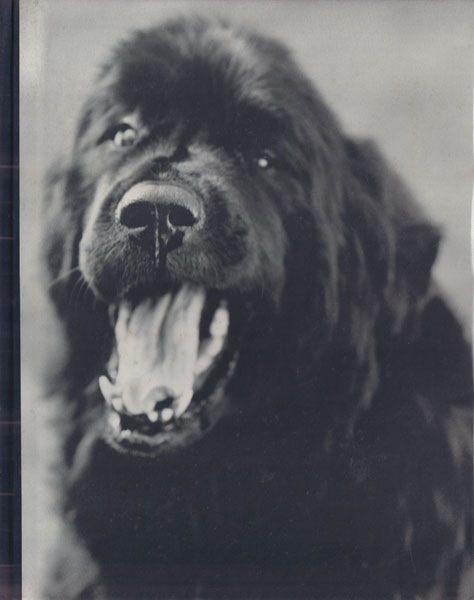 ブルース・ウェーバーBruce Weber Gentle Giants