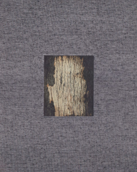 古書古本 dessin：柏田テツヲ Into the Gray（柏田テツヲ)