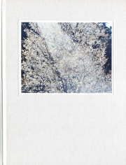 古書古本 dessin：鈴木理策写真集 Saskia（リトル・モア)