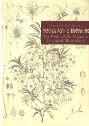 512⑧希少植物図鑑　洋書　古書　ボタンニカルアート Amazon.co.jp: レア洋書 大型本 イギリスと北ヨーロッパの植物