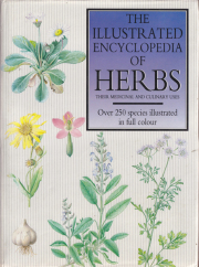 The Illustrated Encyclopedia of Herbs