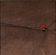 Gregory Colbert: Ashes and Snow the film DVD