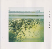 田尾沙織　ビルに泳ぐ ［Signed］