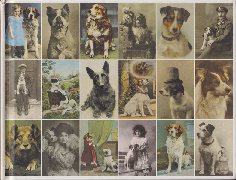 Postcard Dogs