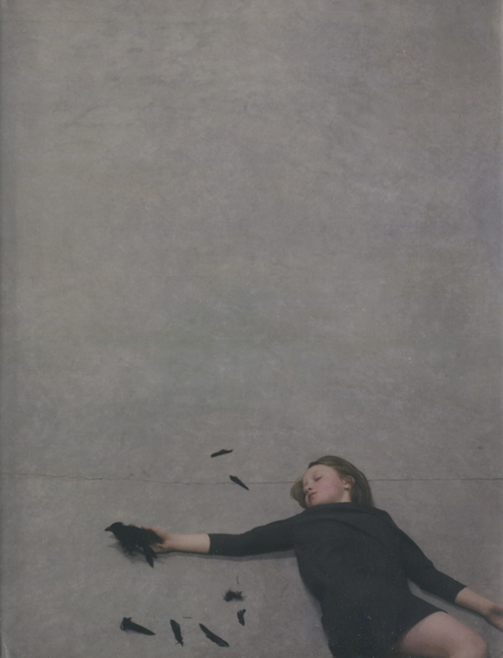 Robert & Shana ParkeHarrison: counterpoint