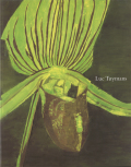 Luc Tuymans