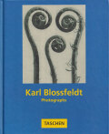Karl Blossfeldt Photographs