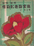 新編・増補　応用彩色図案集