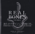 REAL BONES　骨格と機能美