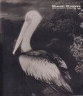 宮澤正明赤外写真集 1979-1999