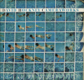 david hockney: cameraworks