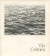 vija celmins a survey exhibition