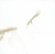 SOME/THINGS MAGAZINE - CHAPTER 004 THE WINGS OF A LOCUST