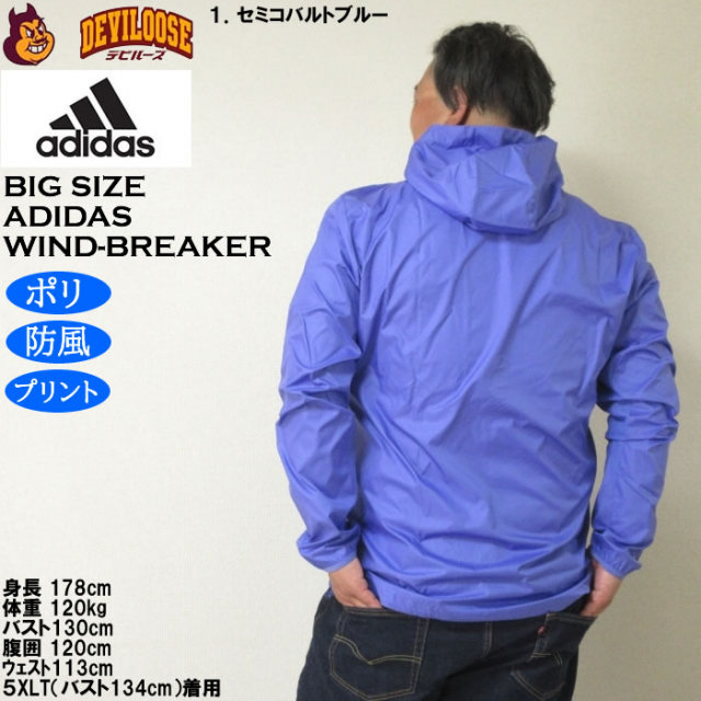 12734310-13.jpg?t=20250715142724