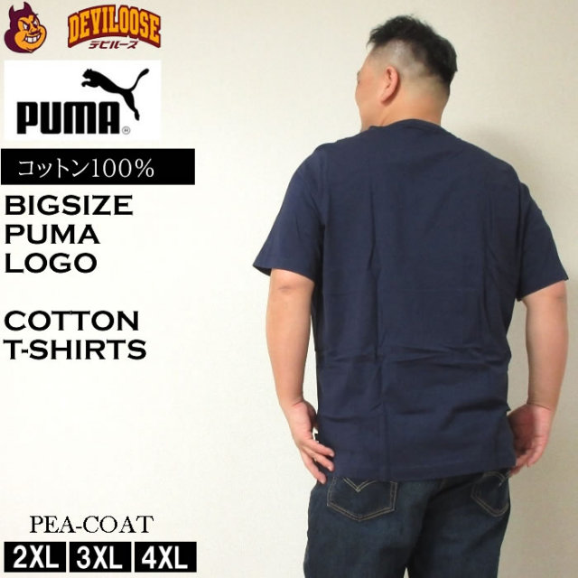 12783202-3.jpg?t=20240508192817