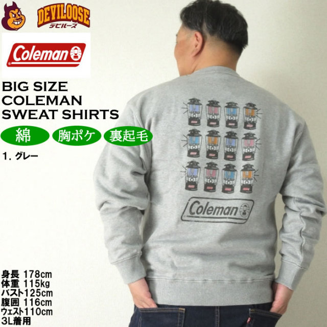 12784676-12.jpg?t=20241118143818