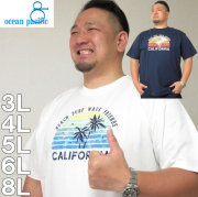 大きいサイズ メンズ OCEAN PACIFIC-プリント半袖Tシャツ（メーカー取寄）オーシャンパシフィック/3L/4L/5L/6L/8L
