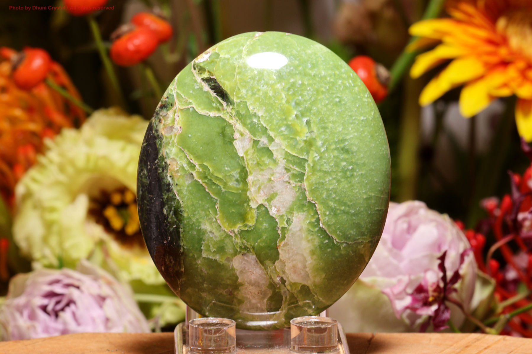 グリーントレモライト(T669)