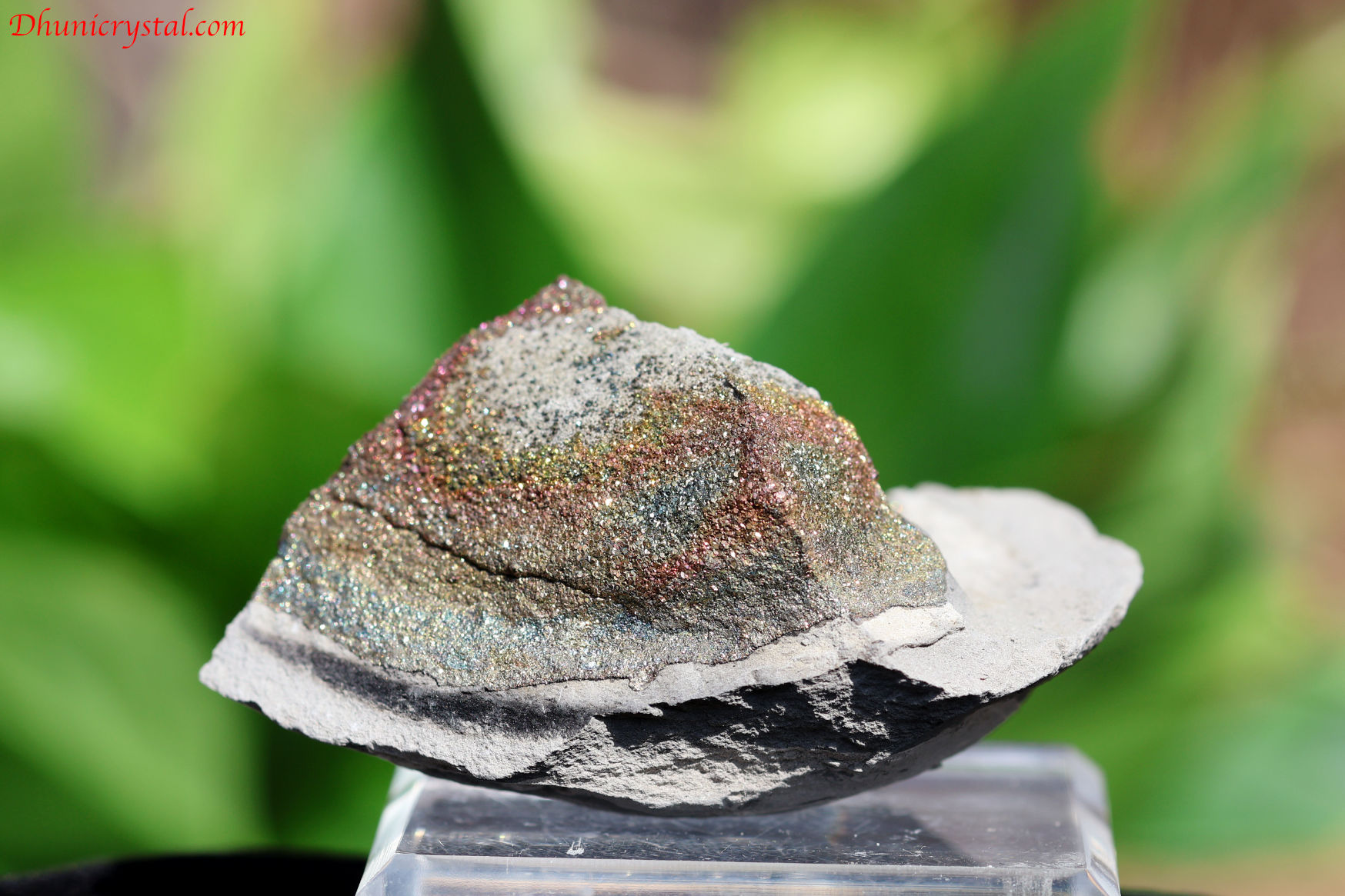 レインボーパイライト/ロシア産(A176)