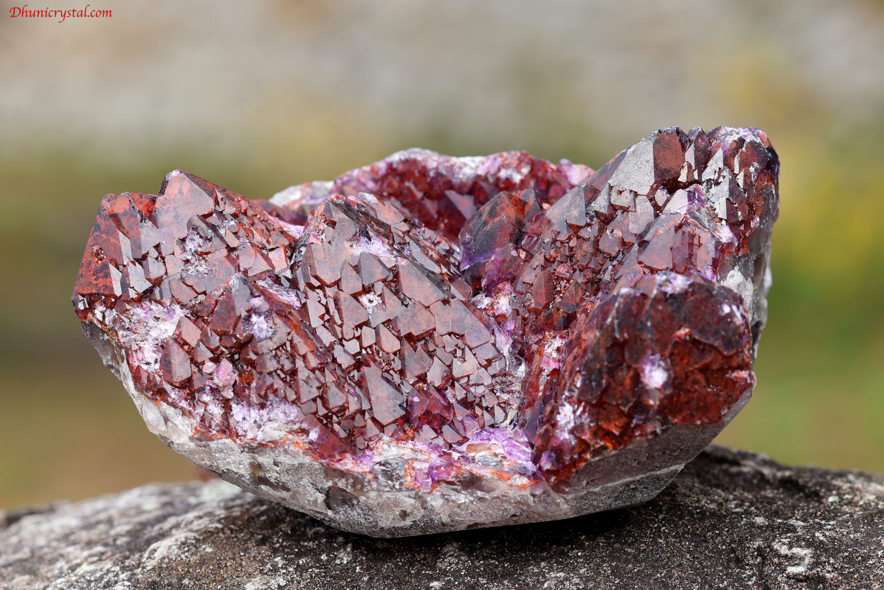 エイリアンアメジスト