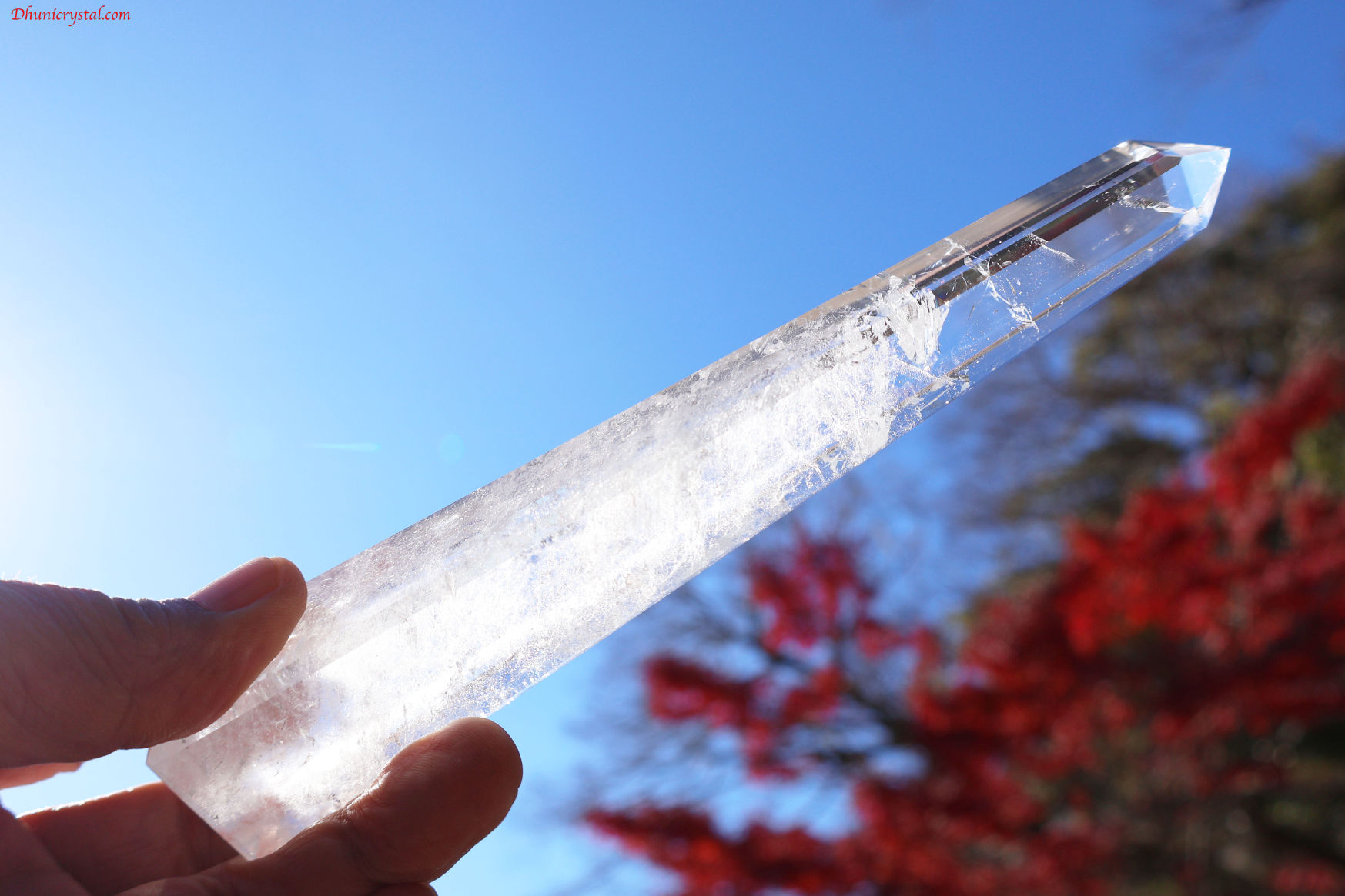 【SOLDOUT】レムリアンシードクリスタル/マスターオベリスク(A36)